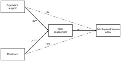 Hair dehydroepiandrosterone sulfate as biomarker of employees’ well-being? A longitudinal investigation of support, resilience, and work engagement during COVID-19 pandemic